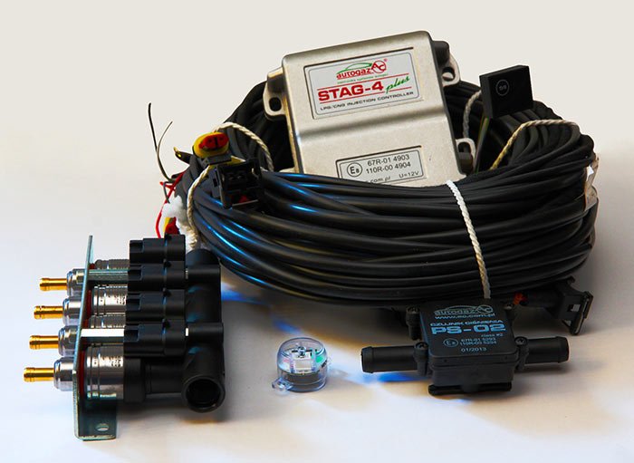 Stag-4 PLUS+Shark red.+Baracuda Boxer+F